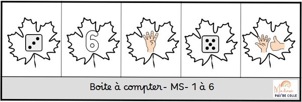 Boite à compter forêt