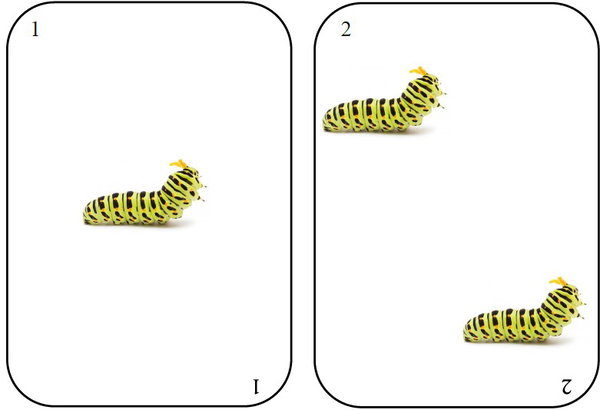 Jeu de bataille