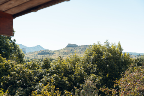 Une fenêtre sur la Nature En plus de son emplacement privilégié, notre gîte offre une vue magnifique sur les environs, offrant une véritable